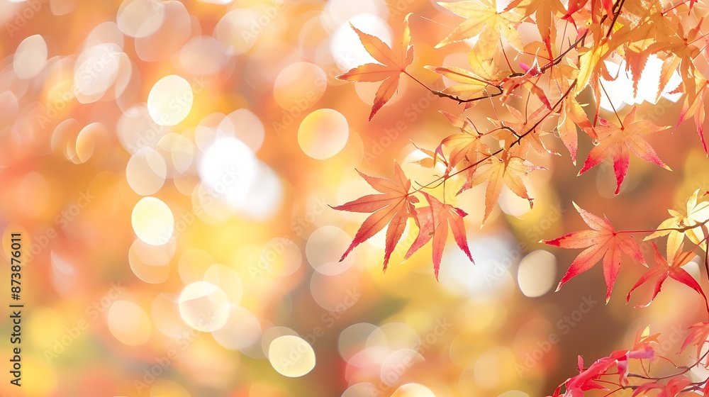 Festive Autumn Bliss: Vibrant Maple Leaves in Soft Light for Year-End Celebration Web Banner Festive Autumn Bliss: Vibrant Maple Leaves in Soft Light for Year-End Celebration Web Banner