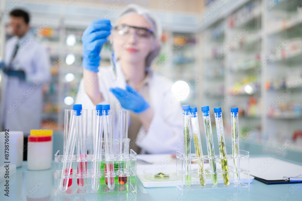 Chemical scientist doing antibiotic trials and testing in the laboratory Chemical scientist doing antibiotic trials and testing in the laboratory