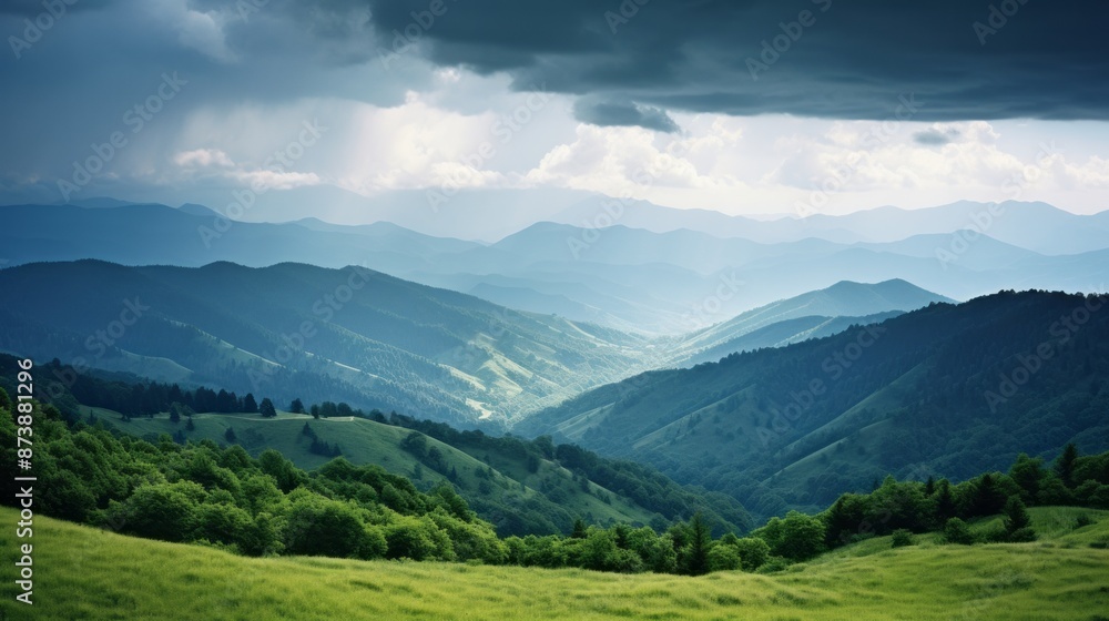 glade covered with grass on the background of a mountain massif and forest in the summer season. Trips in the mountains. clean air Concept clean environment. glade covered with grass on the background of a mountain massif and forest in the summer season. Trips in the mountains. clean air Concept clean environment.