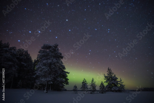 The Big Dipper constellation above the forest