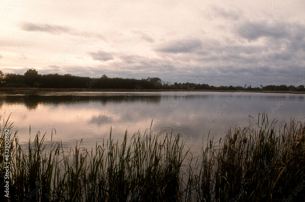 Fototapeta premium coucher de soleil, Etang, La Dombes, 01, Ain, France