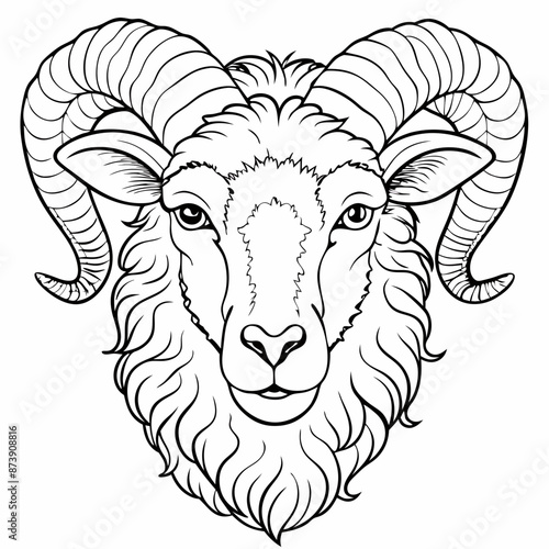 illustration head of a ram fur, simple line vector. for coloring page