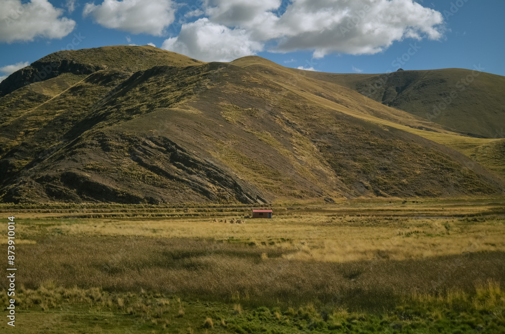 Fototapeta premium house in the middle of peruvian rural aera in the mountains