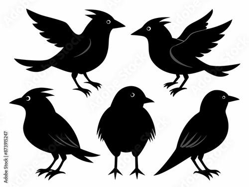 set of silhouettes of birds Vector, isolated black silhouette bird bundle 