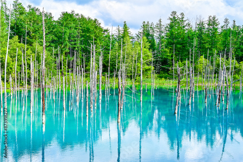 北海道美瑛町の青い池 