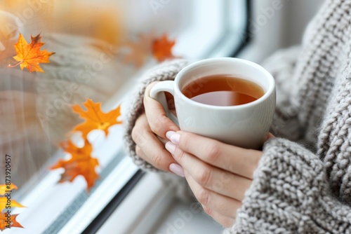cozy autumn day woman in knit sweater holding cup of tea by window with falling leaves.
