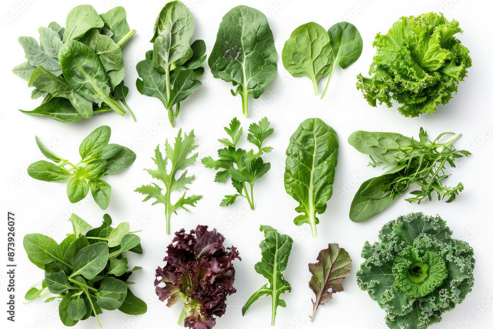 Obraz premium A variety of leafy greens arranged on a white background