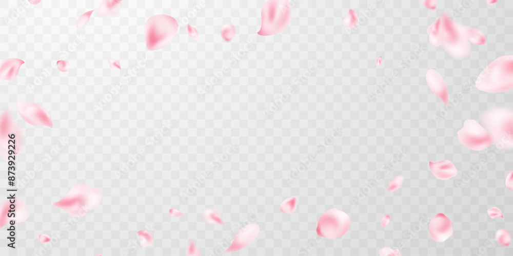 Beautiful flower petals background vector illustration. Beautiful flower petals background vector illustration.
