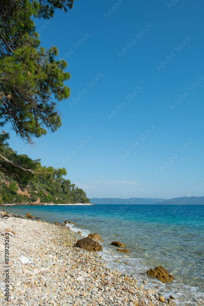 Fototapeta premium Bay views from green forests. View from the forest to the sea. Magnificent views from the forest to the sea. Magnificent bays of Muğla.