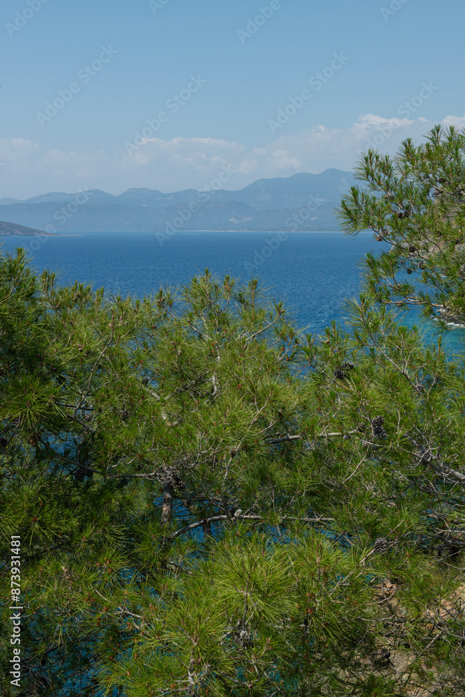 Bay views from green forests. View from the forest to the sea. Magnificent views from the forest to the sea. Magnificent bays of Muğla. Bay views from green forests. View from the forest to the sea. Magnificent views from the forest to the sea. Magnificent bays of Muğla.