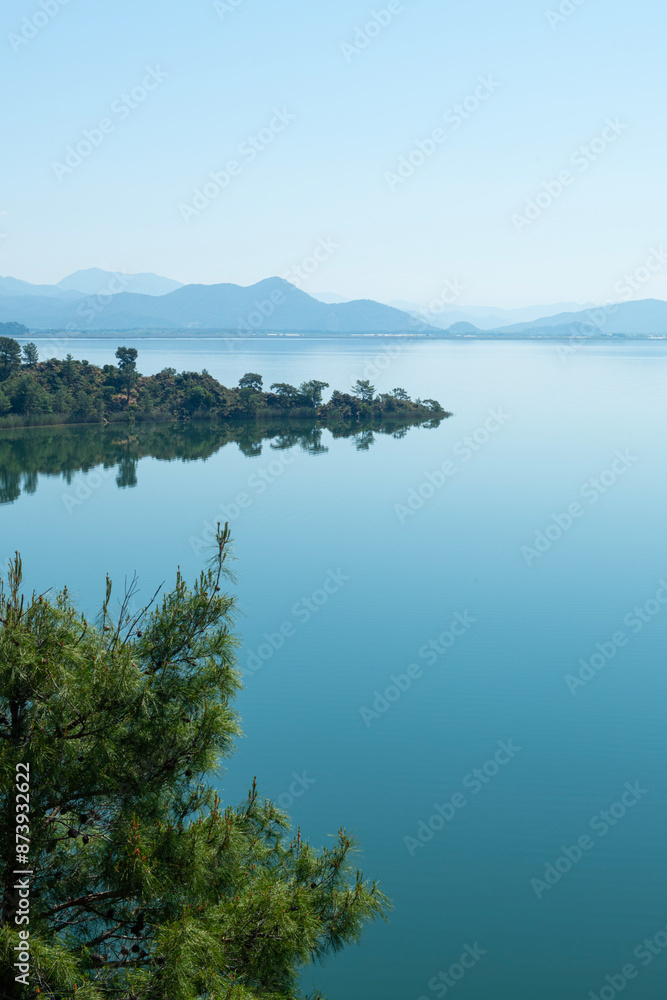 Naklejka premium Bay views from green forests. View from the forest to the sea. Magnificent views from the forest to the sea. Magnificent bays of Muğla.