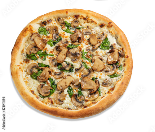 Delicious savory porcini mushroom pizza with creamy cheese sauce, champignons and green spinach, presented isolated on white background. Popular Italian style dish
