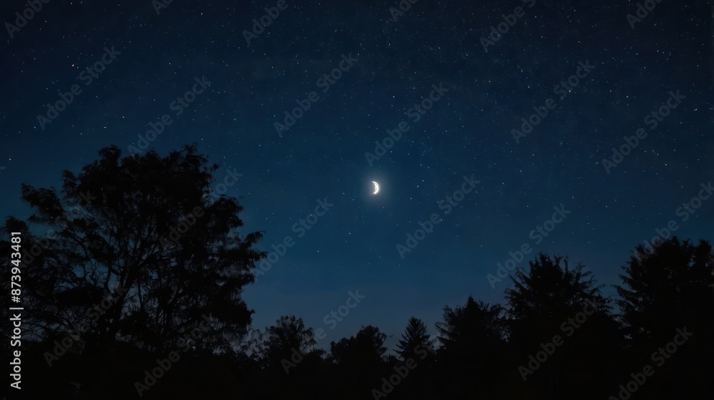 night, sky, moon, dark, star, tree, stars, landscape, nature, silhouette, full, light, forest, blue, space, moonlight, clouds, trees, christmas, black, astronomy, halloween, sunset, time, illustration night, sky, moon, dark, star, tree, stars, landscape, nature, silhouette, full, light, forest, blue, space, moonlight, clouds, trees, christmas, black, astronomy, halloween, sunset, time, illustration