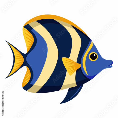 Emperor Angel fish vector illustration on white background