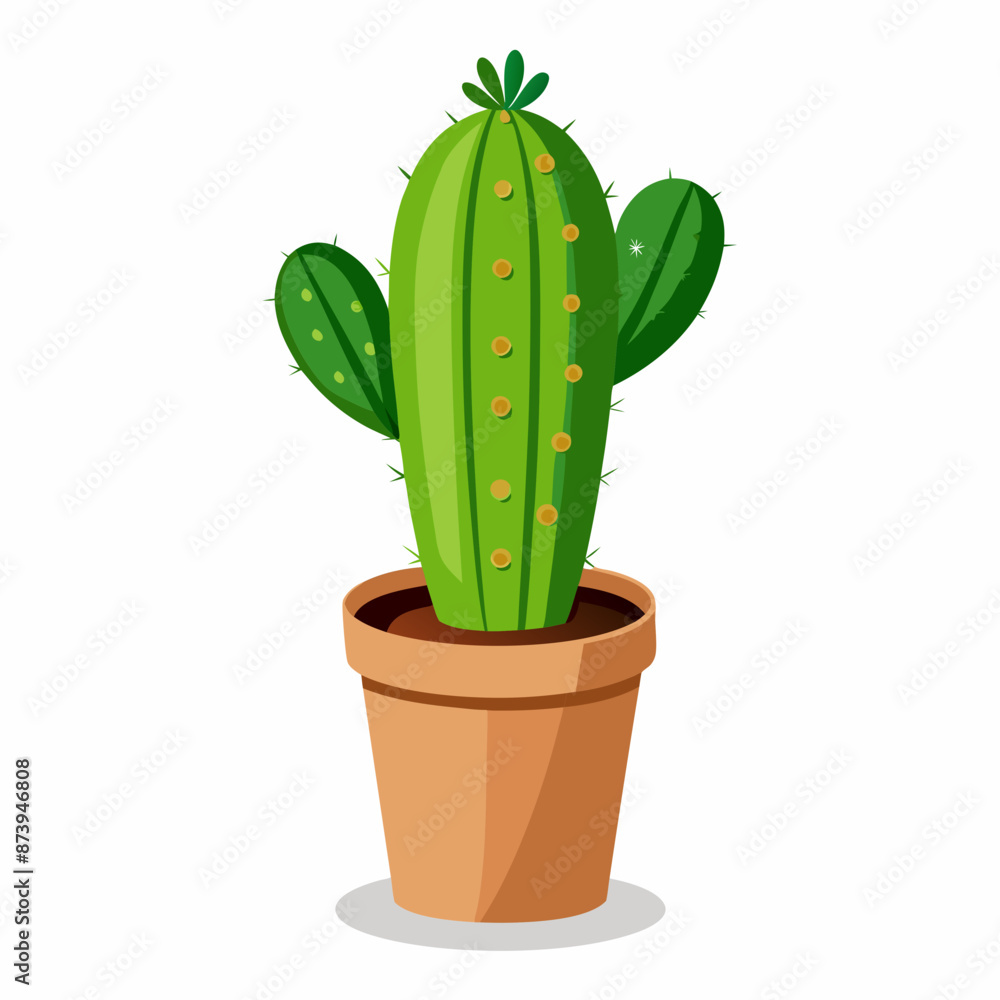 A Cactus tree in a pot on white background A Cactus tree in a pot on white background
