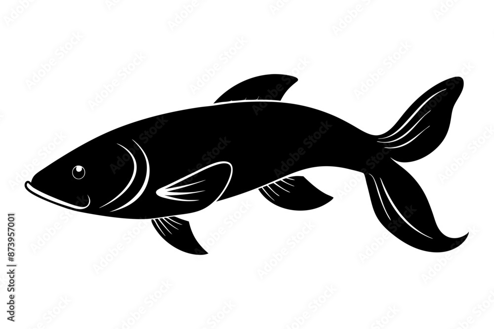Fototapeta premium Arapaima fish silhouette vector illustration