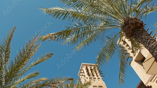 Palm leaves next to the hotel against the blue sky. Cloudless summer day photo