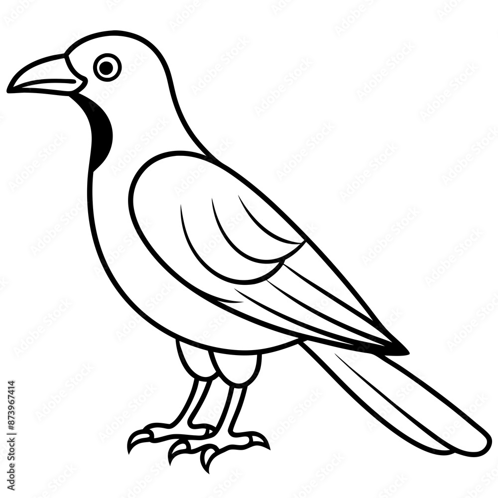 Obraz premium dove isolated on white