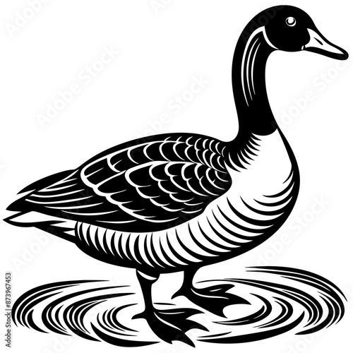 duck on white