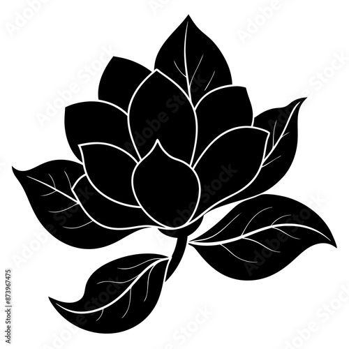 black and white flower