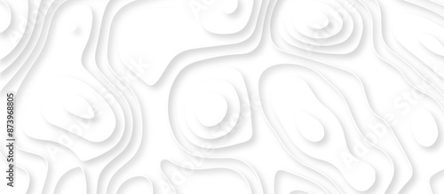 Abstract geometric layered curve line white background. 3d render, paper cut vector art background banner texture. multi layer cutout geometric patterns with smooth wavy layer. white background.
