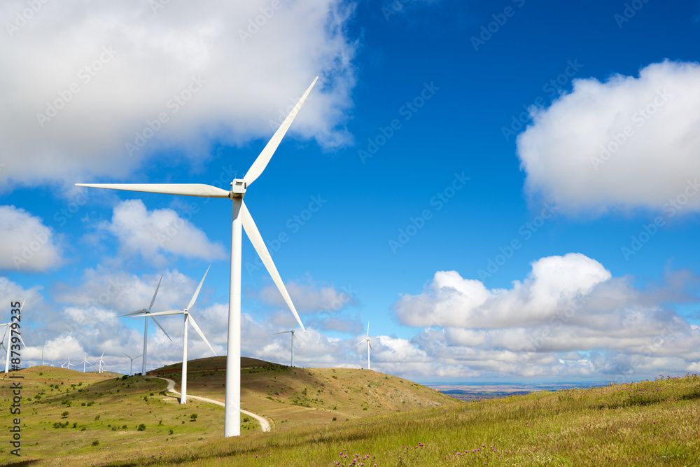 Wind turbine generators for sustainable electricity production Wind turbine generators for sustainable electricity production