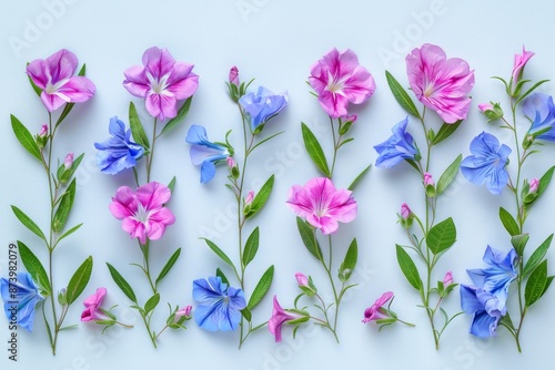 Artistic arrangement of various colorful flowers on a blue background, creating a unique floral pattern