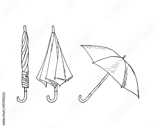 Hand-drawn umbrella. Folded, closed, and opened parasol. Isolated illustration on white background.