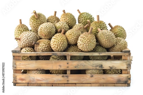 Pile of Durian on Wooden Crate, Isolated on White Background : Suitable for Be Used in Blog Posts, Social Media Posts or Website Content Related to Fruits and Vegetables. photo