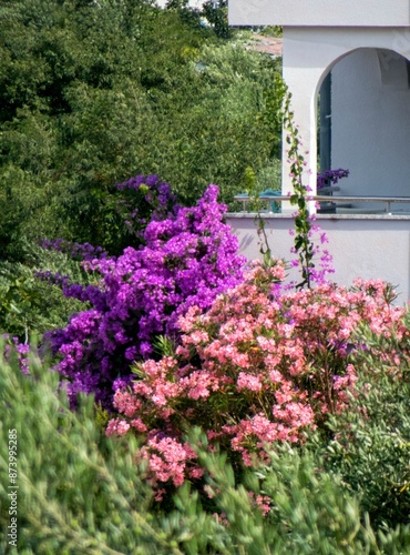 Wallpaper Mural flower Torontodigital.ca