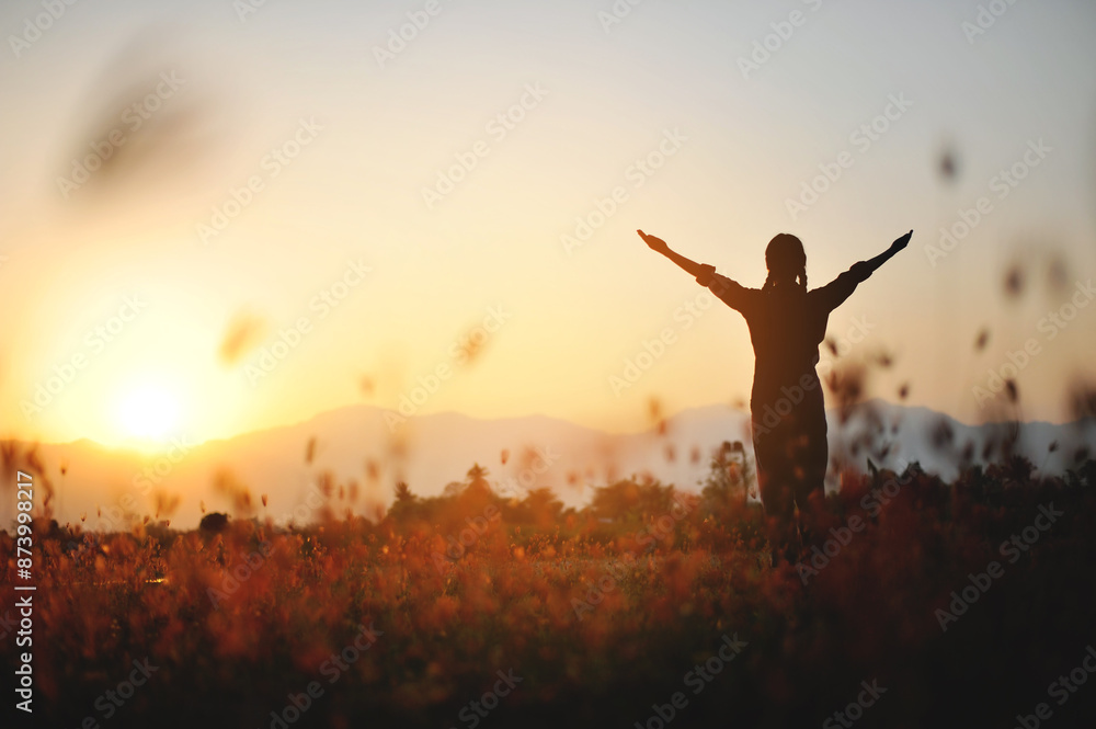 Silhouette of happiness and being free and relaxed in living life, success and working towards planned life goals. Silhouette of happiness and being free and relaxed in living life, success and working towards planned life goals.
