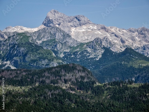 Wallpaper Mural alps bohinj vogel Torontodigital.ca