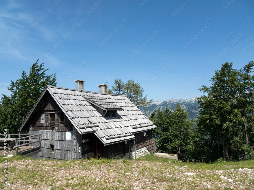 Obraz premium alps bohinj vogel