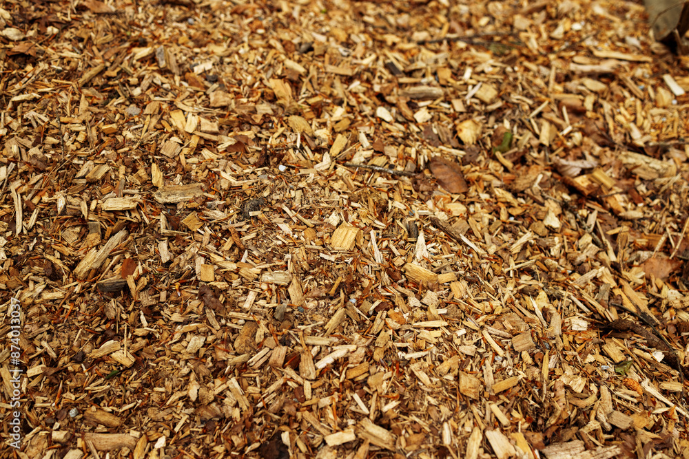 Wood chips and mulch. Wood background, abstraction Wood chips and mulch. Wood background, abstraction