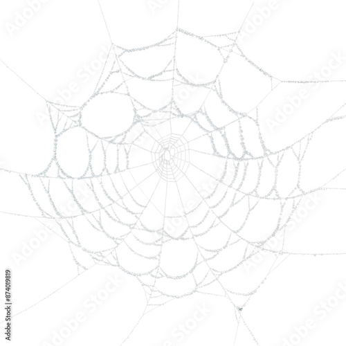 Detailed spider web design, isolated on transparent background photo