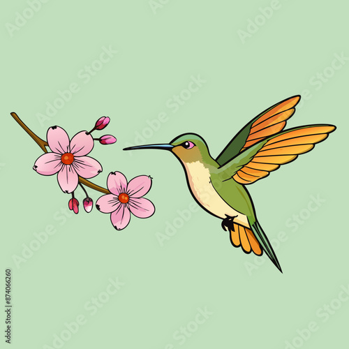 Vector illustration of Humming bird 