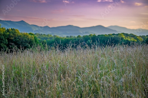 Canvas Print mountains near Franklin, NC