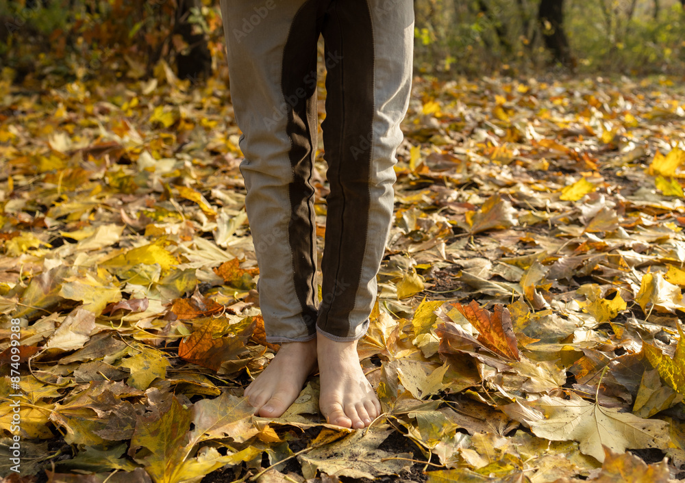 bare feet of a child stand on fallen dry yellow-orange foliage in an autumn park. Indian summer. Freedom to live and enjoy the changing seasons of the year bare feet of a child stand on fallen dry yellow-orange foliage in an autumn park. Indian summer. Freedom to live and enjoy the changing seasons of the year