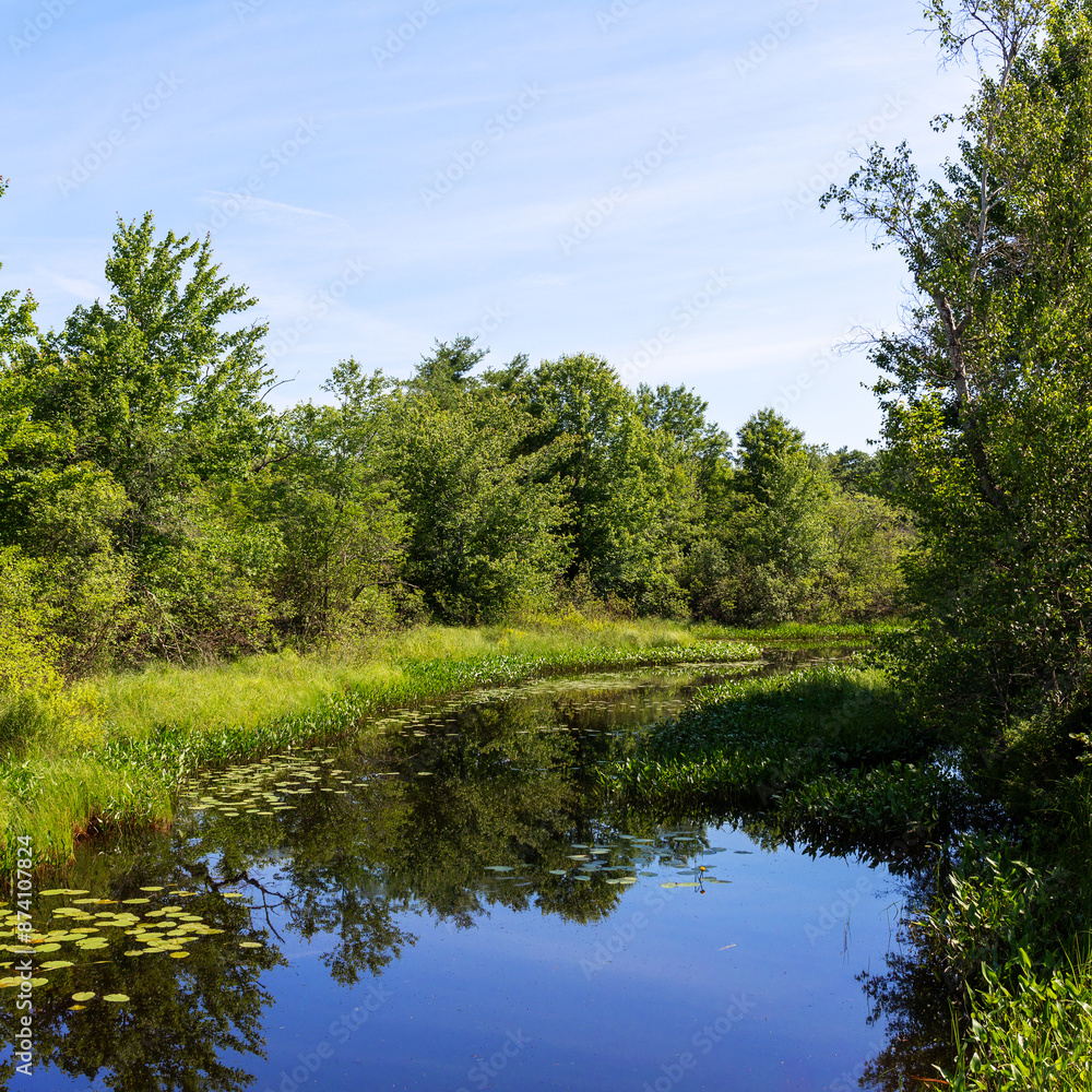 Tranquil summer day at Goose River in Maine in the summer. Tranquil summer day at Goose River in Maine in the summer.