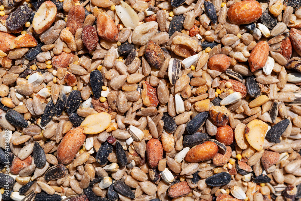 Close view of wild bird food with black oil sunflower seeds. Close view of wild bird food with black oil sunflower seeds.