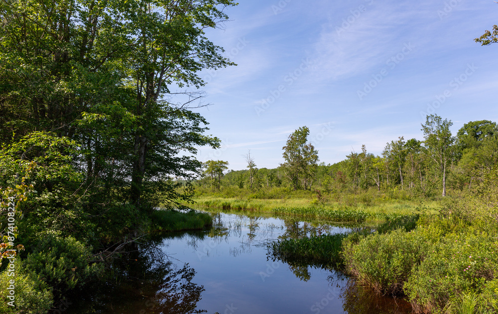 Part of the Goose River in Maine winding lazily in the summer.