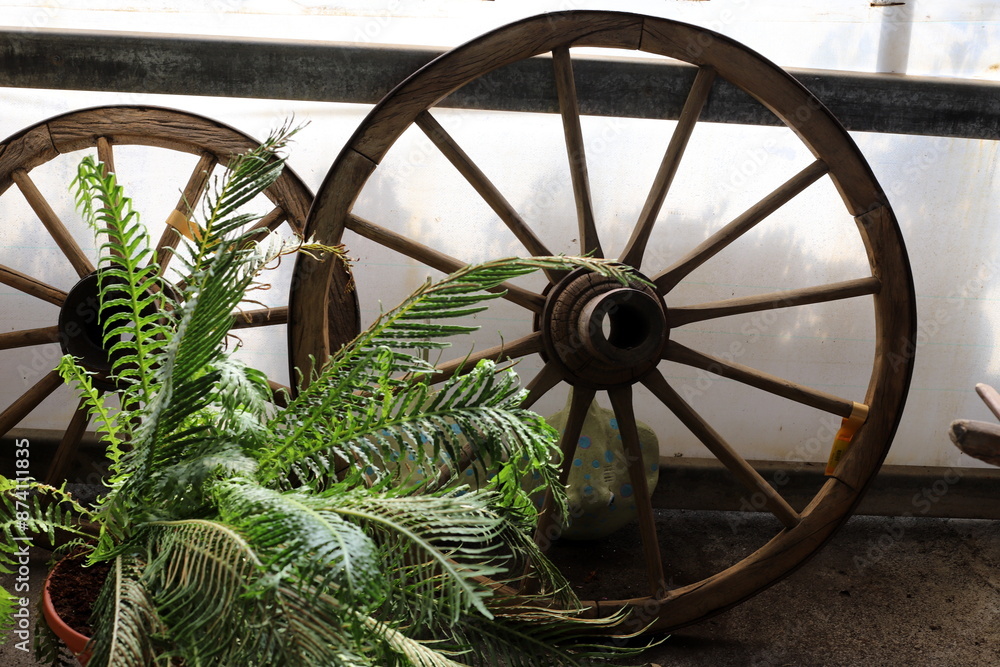 Trolley wheel for transporting heavy loads. Trolley wheel for transporting heavy loads.