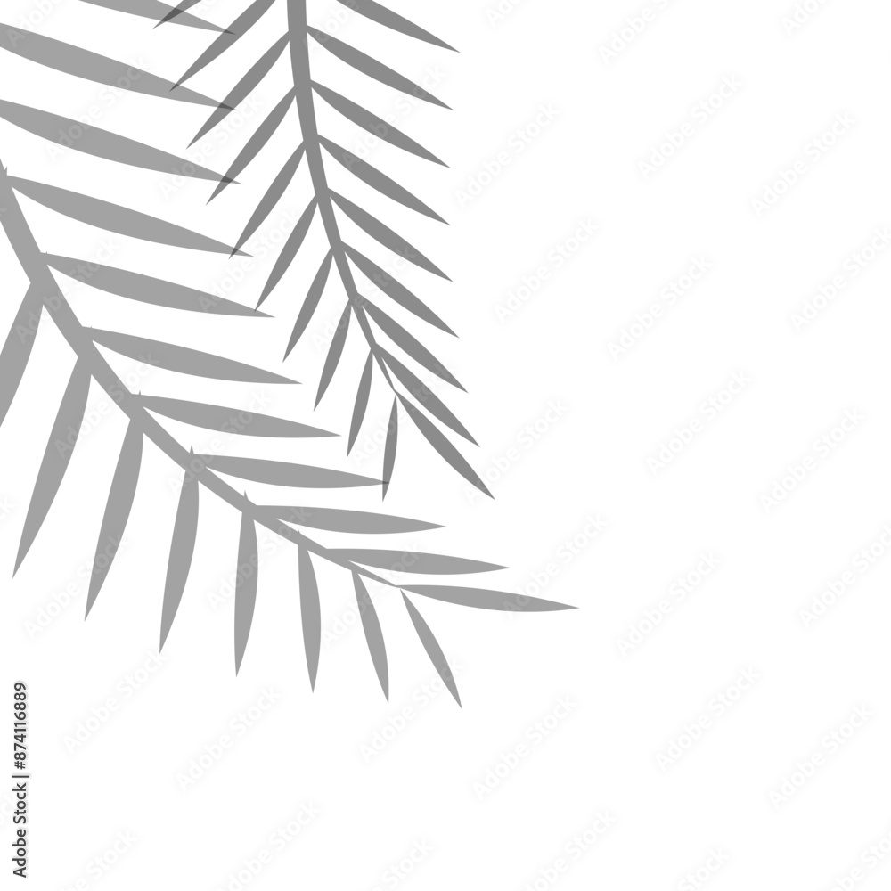 Shadow Palm Corner Shadow Palm Corner
