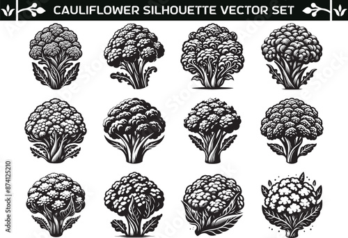 Cauliflower silhouette vector illustration set
