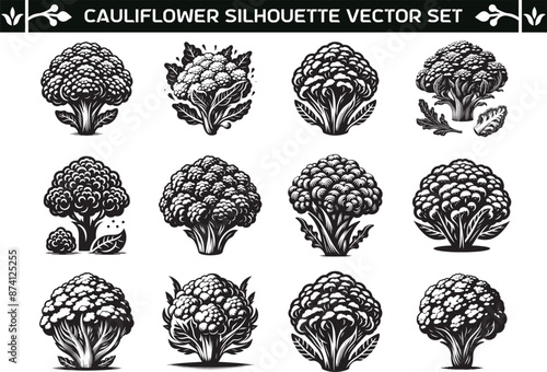 Cauliflower silhouette vector illustration set