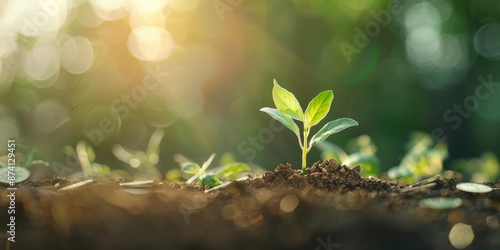 A small plant is growing in the dirt by AI generated image © chartchai