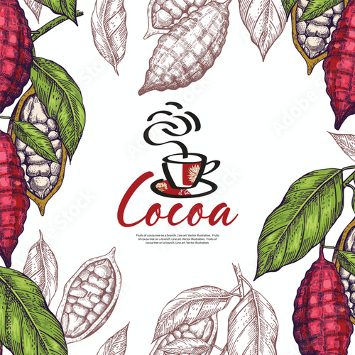 Cocoa beans on a branch. Background for covers flyers banners
