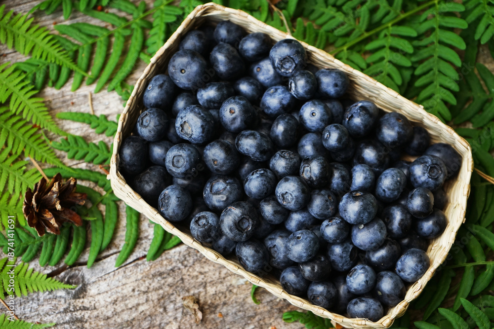 Blueberries in a wicker bowl on a wooden table surrounded by green ferns Blueberries in a wicker bowl on a wooden table surrounded by green ferns