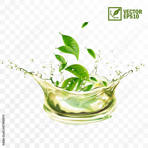 Realistic transparent isolated vector splash of green tea with green leaves and drops, a splash in the form of a crown