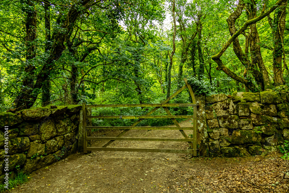 Wanderung durch den wunderschönen Nationalpark Dartmoor vom Castle Drogo zur Fingle Bridge - Exeter - Vereinigtes Königreich